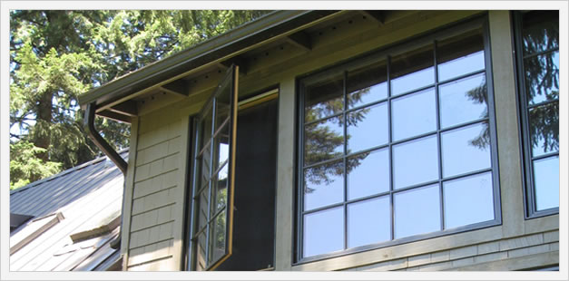 Home Window Image